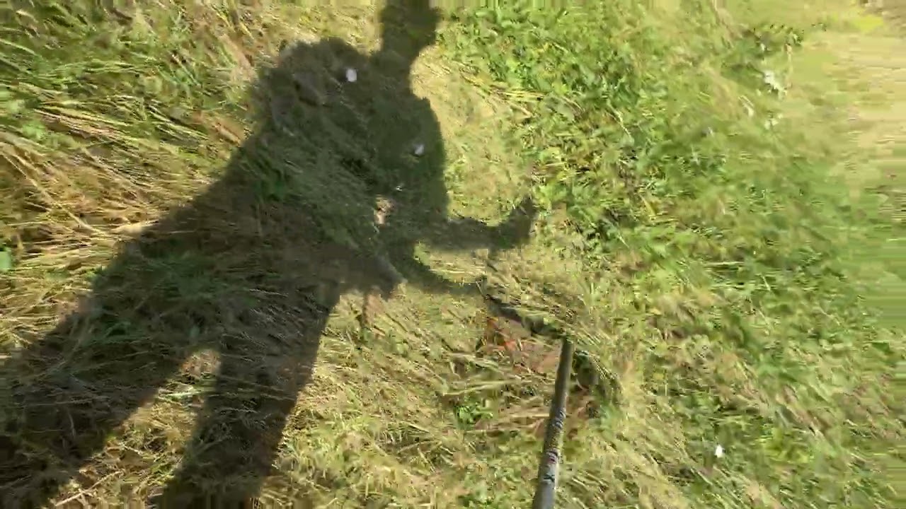 Professional lawn mowing with a trimmer on iPhone 16 pro 4K #satisfying #garden #trimmer#usa 