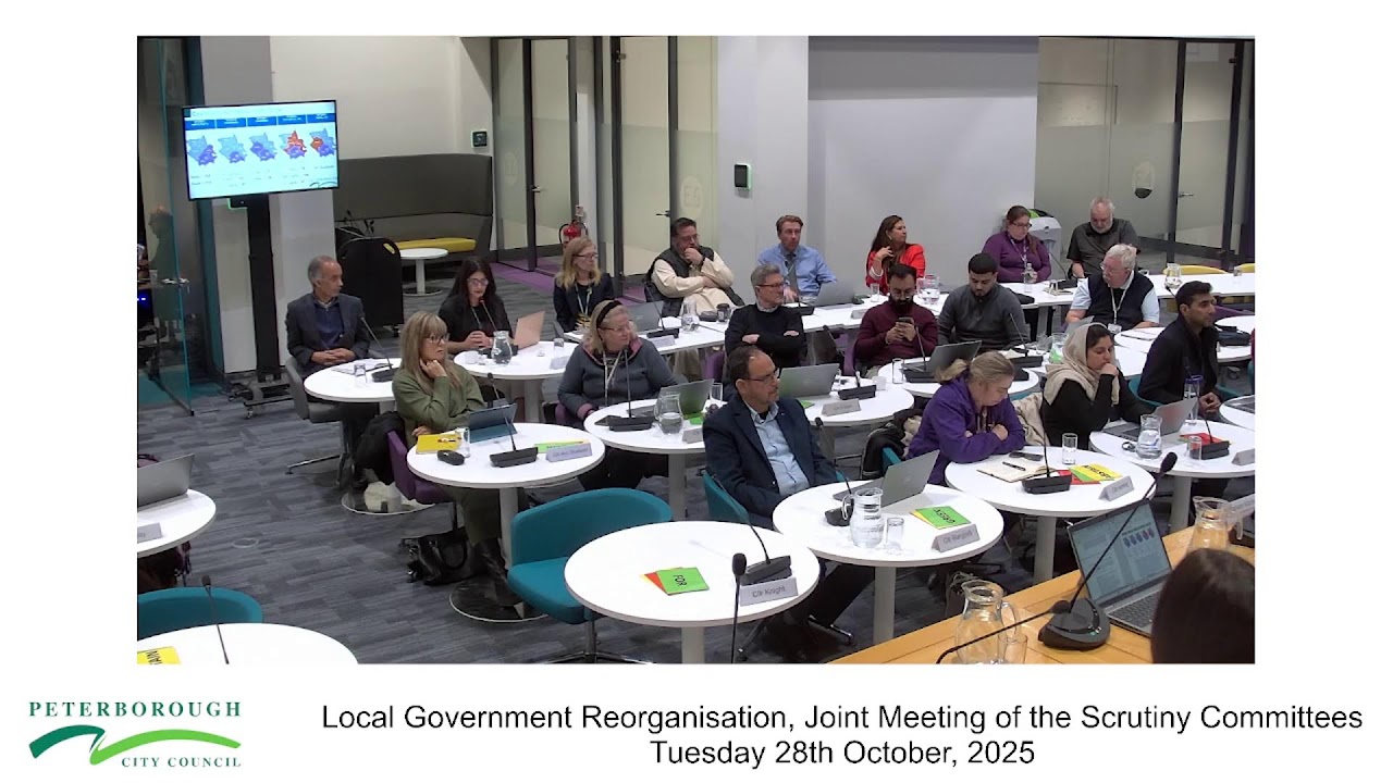 Local Government Reorganisation, Joint Meeting of the Scrutiny Committees -