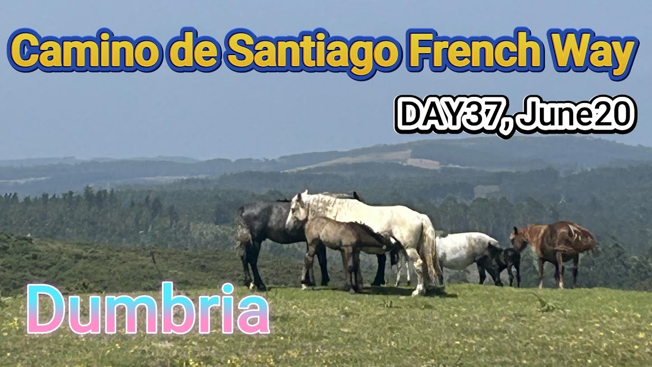 Day37/38 Spectacular Views【Camino de Santiago French Way】Dumbria