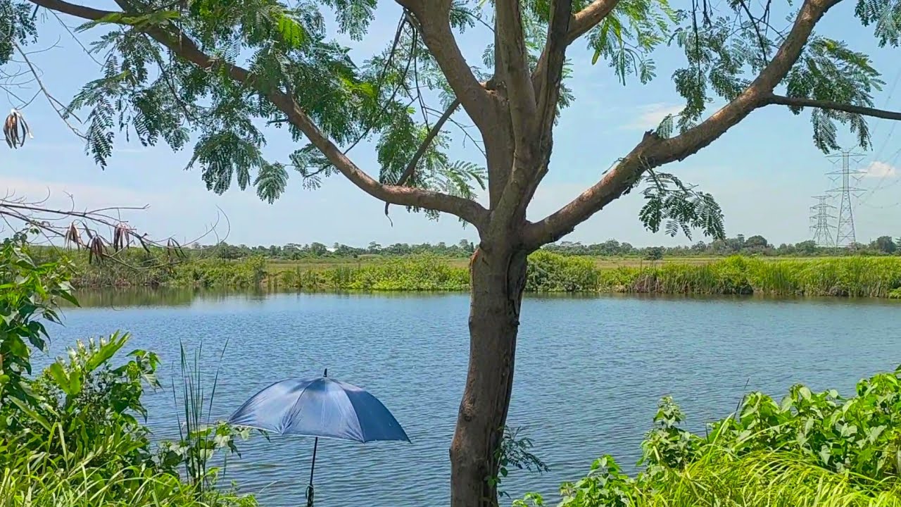 SPOT MANCING LIAR BUNI BARU - BEKASI, JAUH BGT TETEP DISAMPERIN SAMA SEMUA PEMANCING KRN GACOR PARAH
