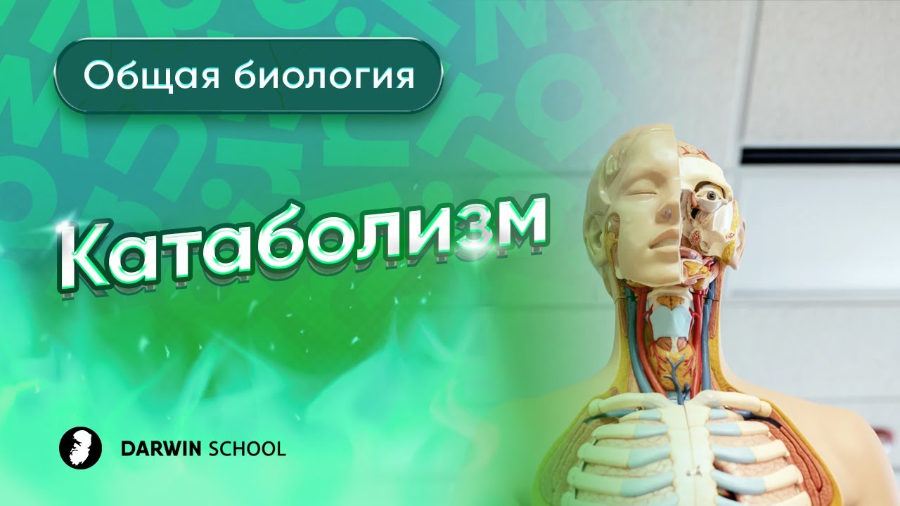 Тема №2:  Катаболизм