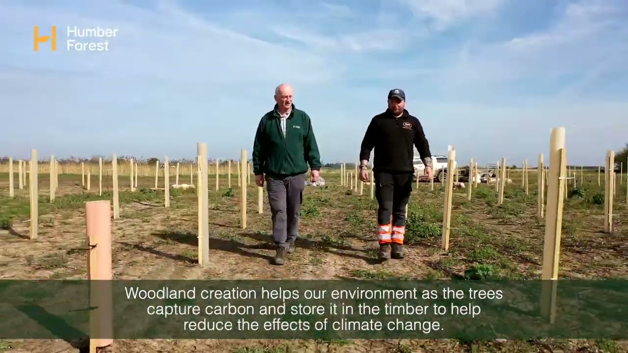 Humber Forest - Tree Planting, Paull Airfield
