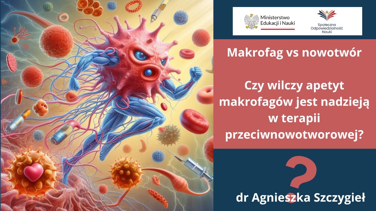 Czy wilczy apetyt makrofagów jest nadzieją w terapii przeciwnowotworowej? Makrofag a nowotwór.
