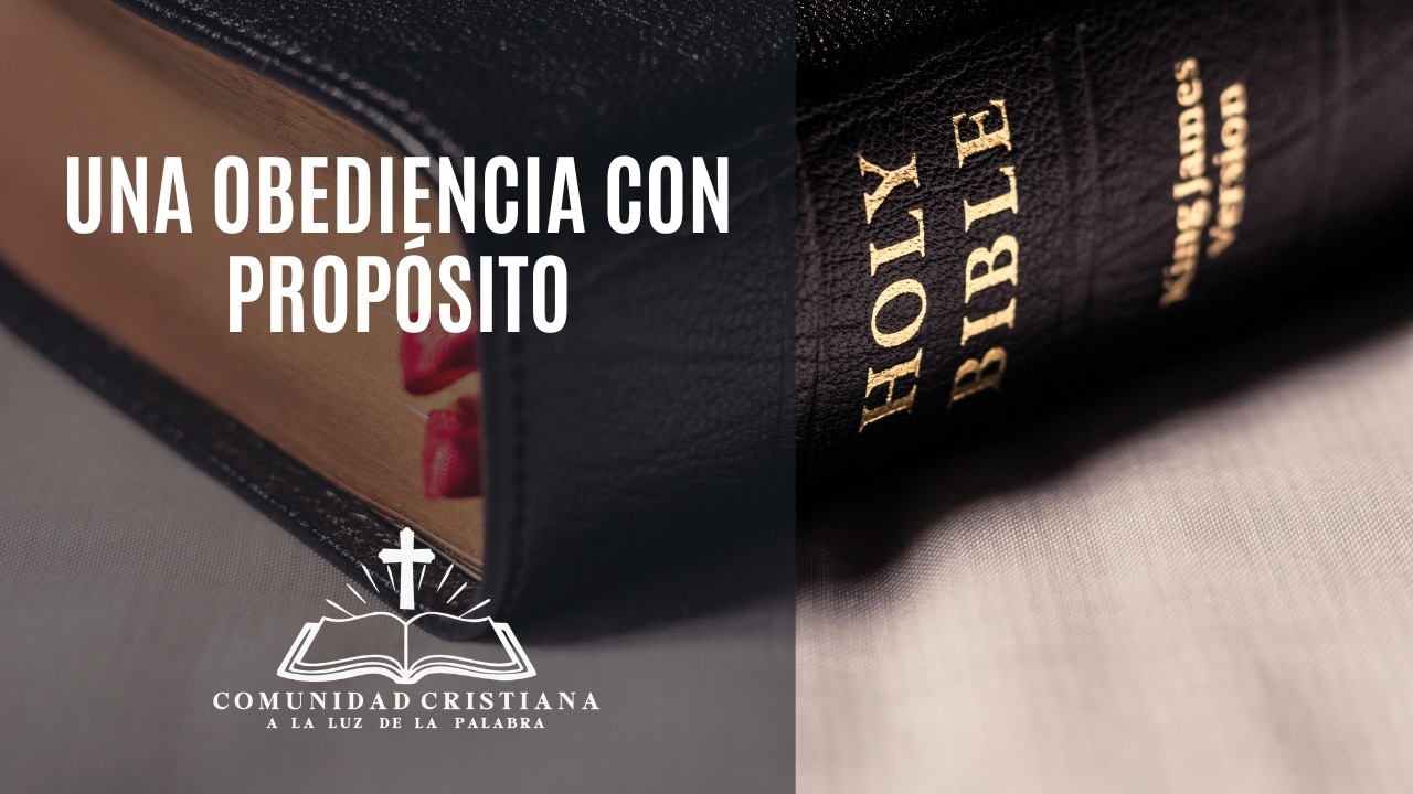 Una Obediencia con Propósito | ALP Temuco