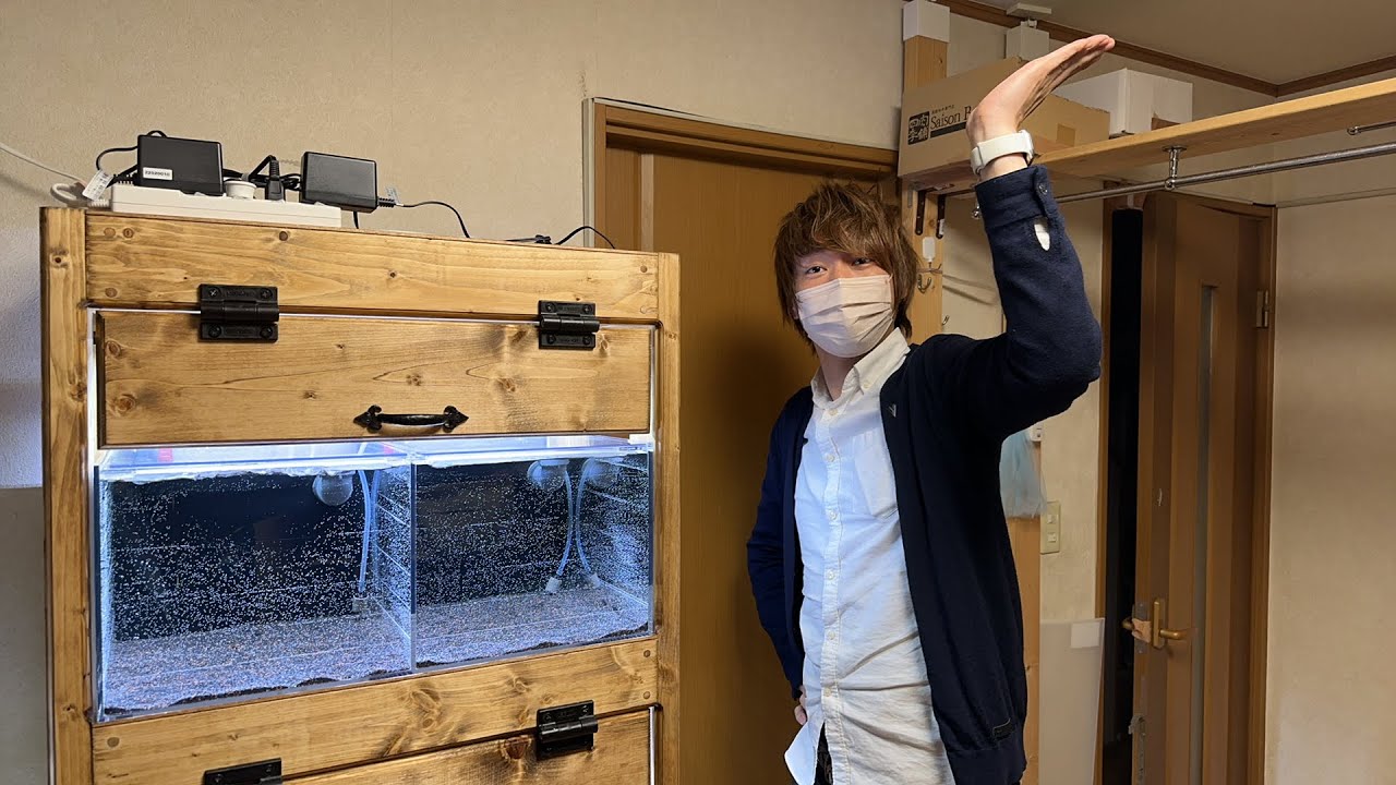 コリドラス専用什器！出張レイアウト！トールマンTV！