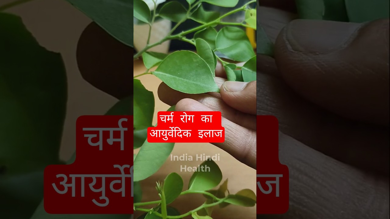 शीशम के पत्ते के फायदे। चर्म रोग में लाभकारी #health  #skincare