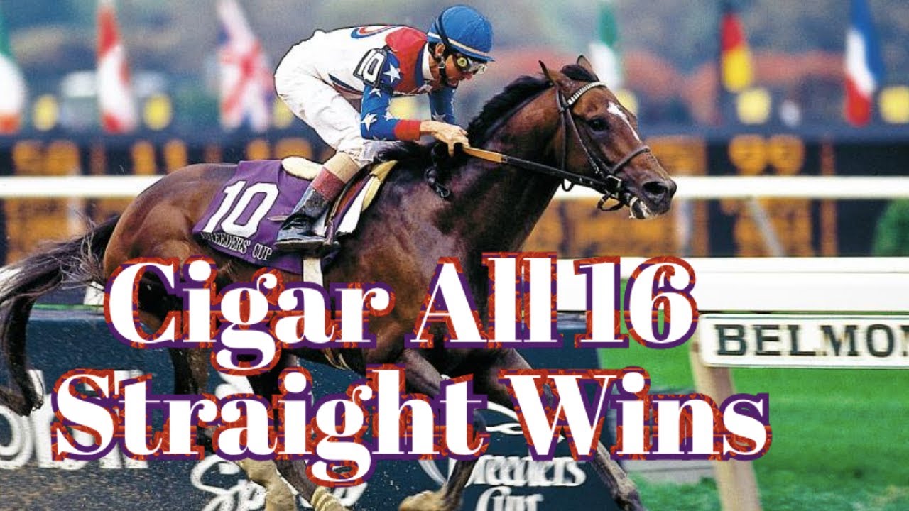 Cigar All 16 Straight Wins