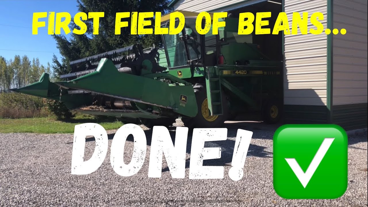 Around the farm with JT.  1/3rd of bean harvest is DONE!