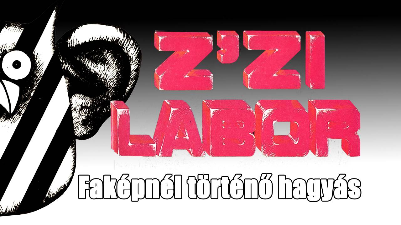 Z'zi Labor - J&ouml;vővivő - Fak&eacute;pn&eacute;l t&ouml;rt&eacute;nő hagy&aacute;s (1 lemez - 1986)
