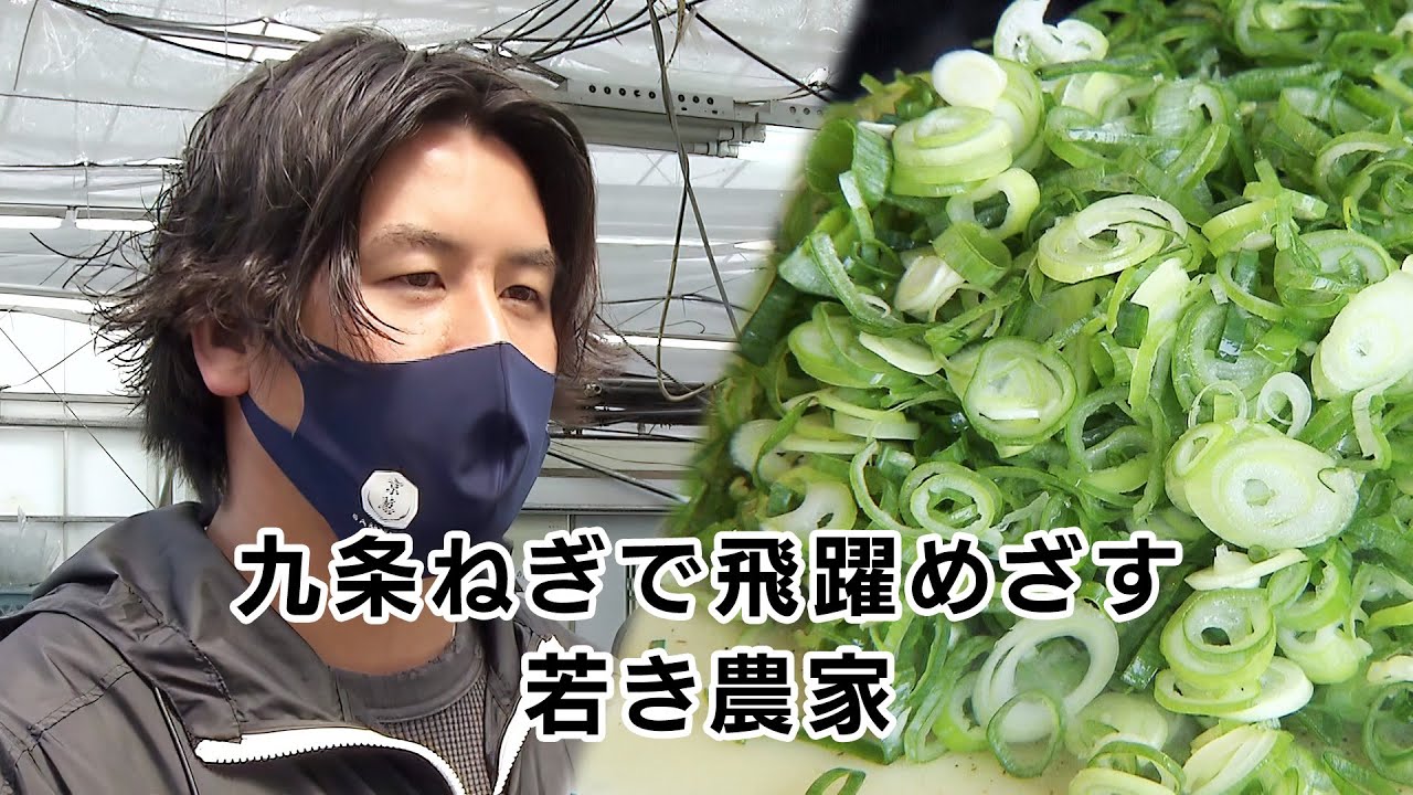 【特集】九条ねぎで飛躍めざす若き農家｜KBS京都