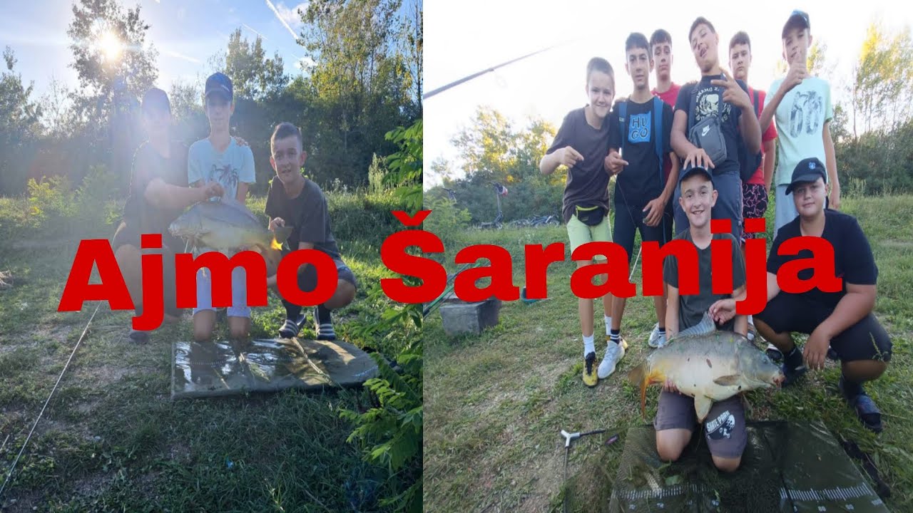 Ribolov šarana na blizinu [ Jezero Zvirište ]