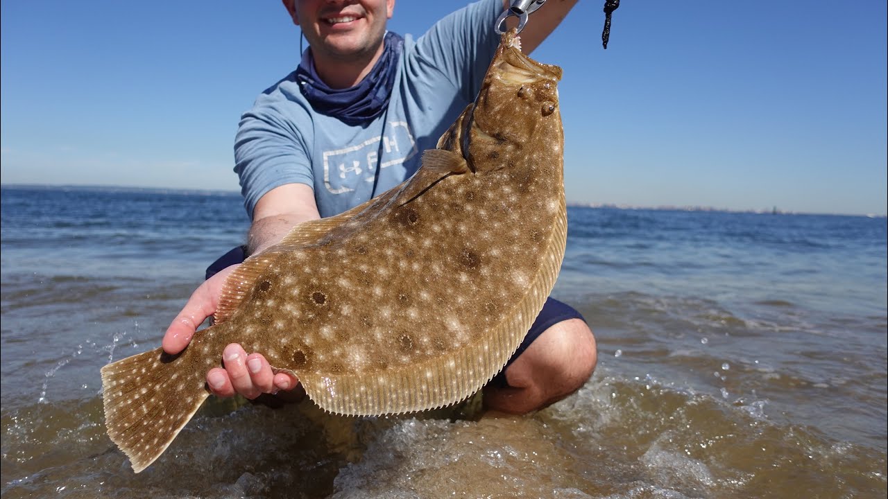 Fluke/Summer Flounder Fishing BLITZ!!