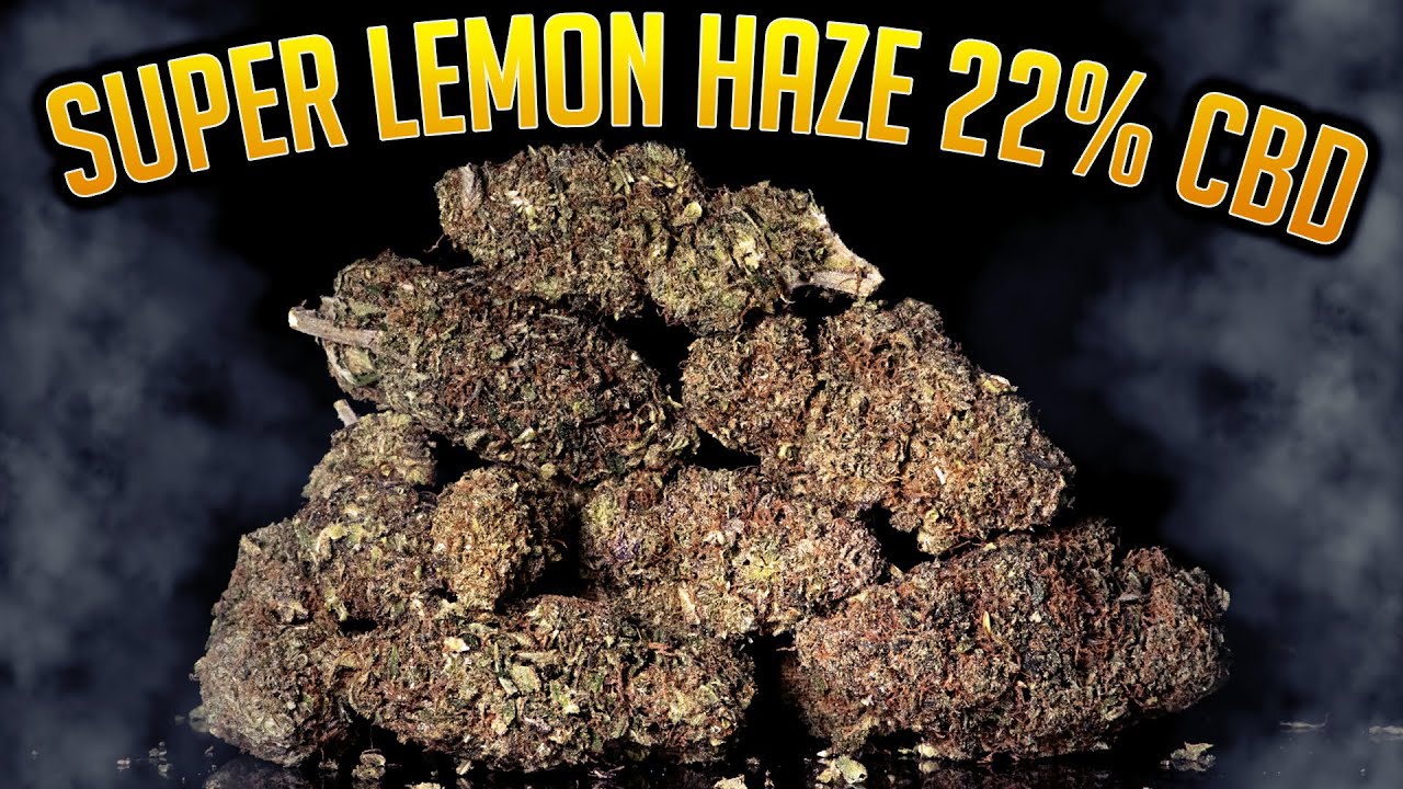 SUPER LEMON HAZE 22% CBD | TheBrainBoxShop