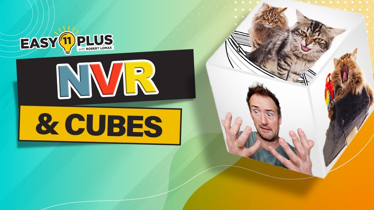 11 Plus Reasoning | NVR и кубы | Easy 11 Plus LIVE 108