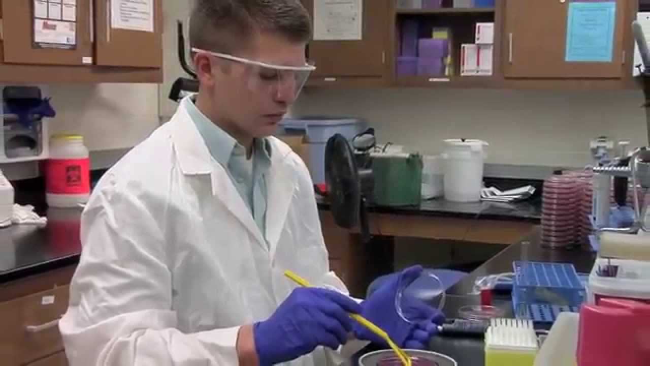 Dual DVM/Ph.D. Scholarship Supports Qualified Students