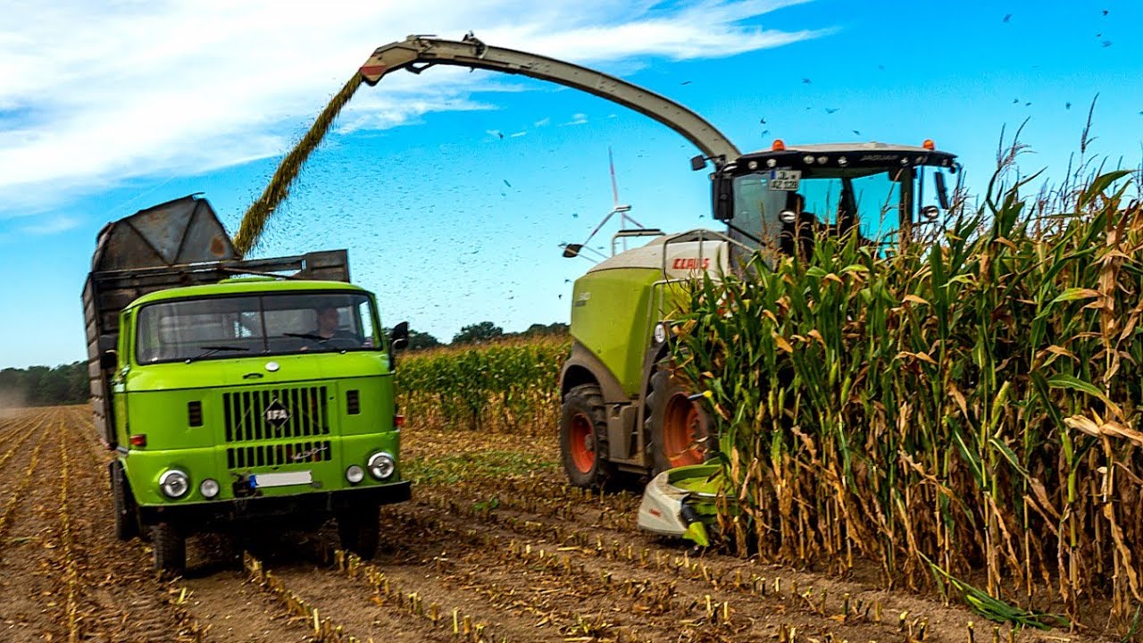 Retro Vintage Truck Corn Harvest | Maisernte mit IFA W50L | Уборка Кукурузы с ИФА В50Л