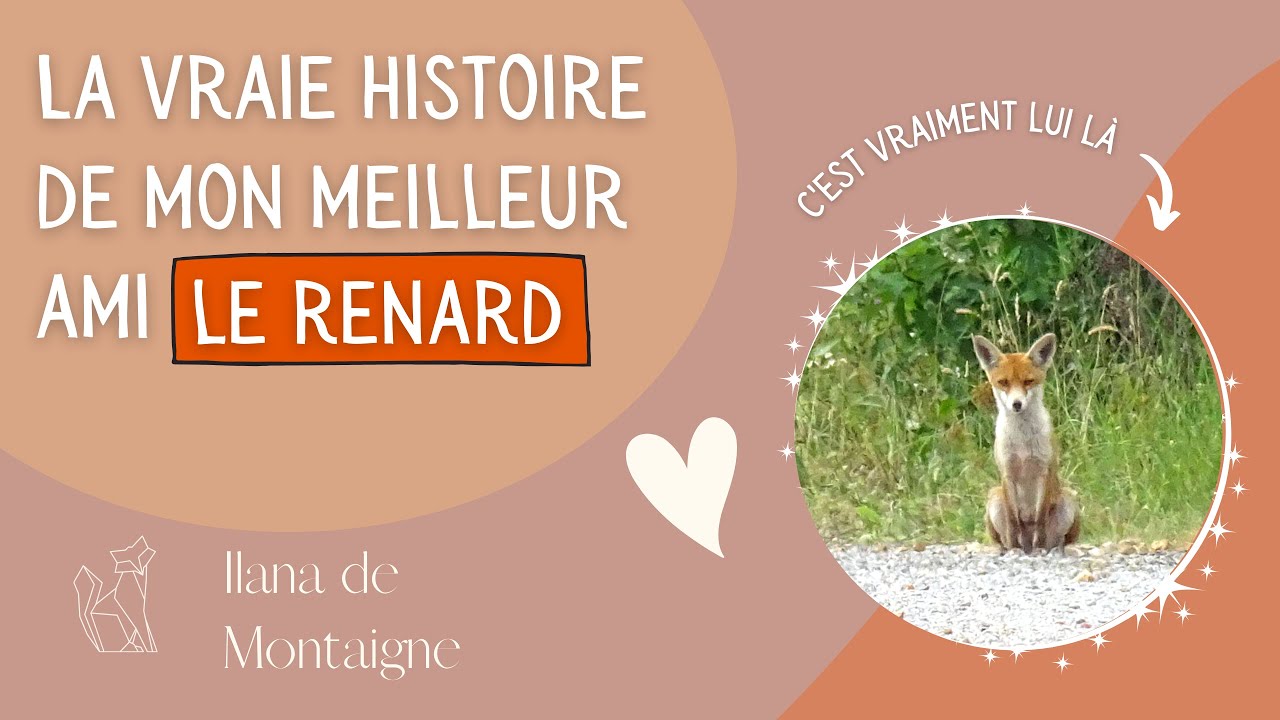 La vraie histoire de mon meilleur ami le renard ❤️