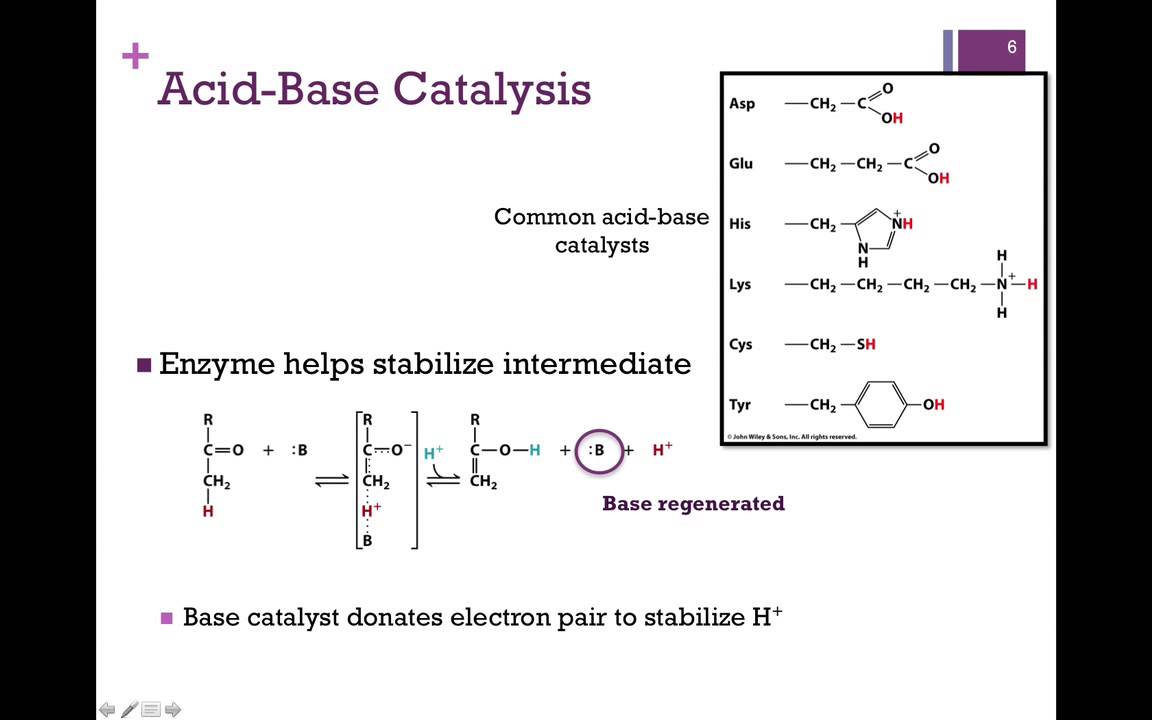 037-Catalytic Mechanisms