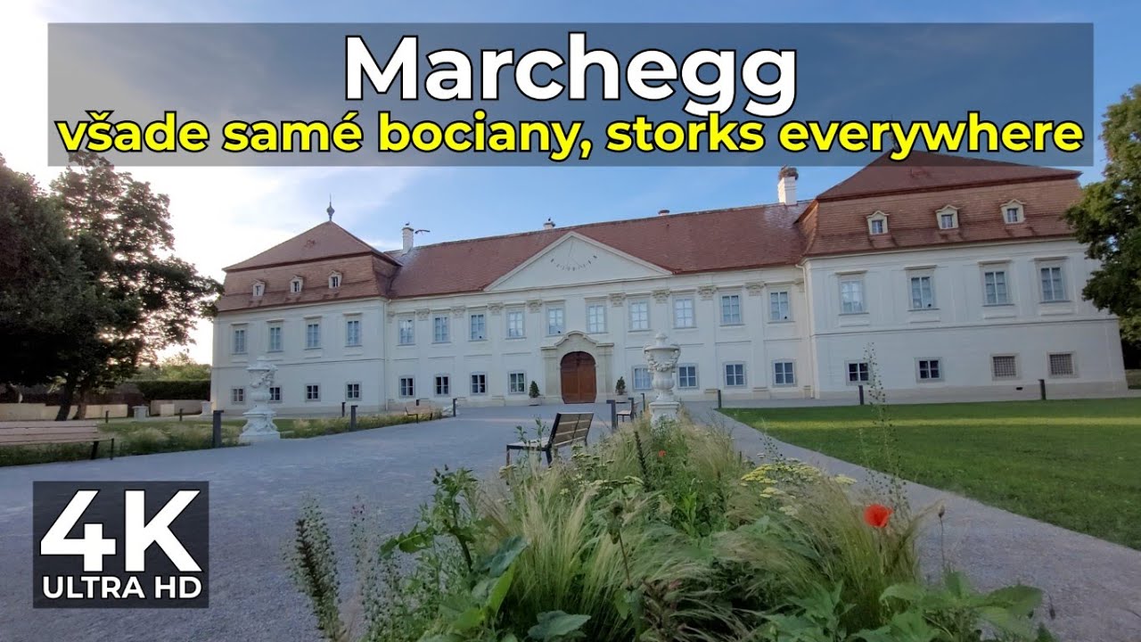 Marchegg, v&scaron;ade sam&eacute; bociany | storks everywhere