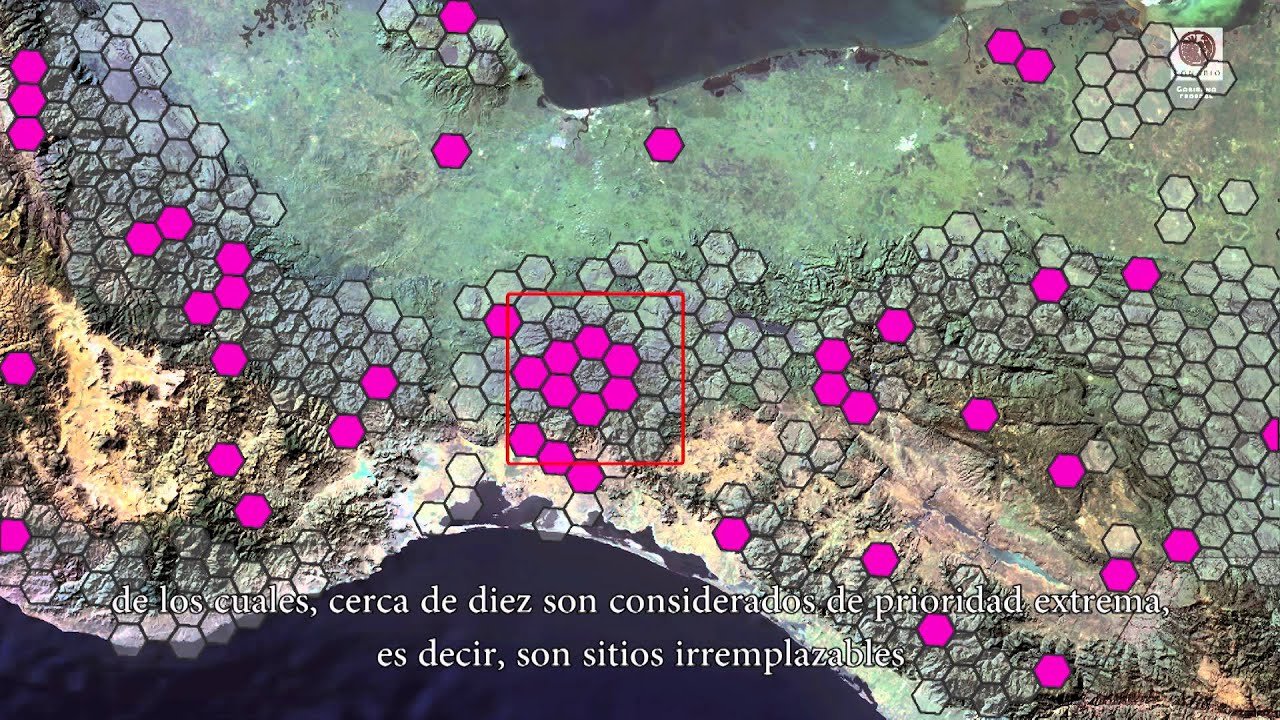 Chimalapas, Una ventana a las selvas h&uacute;medas