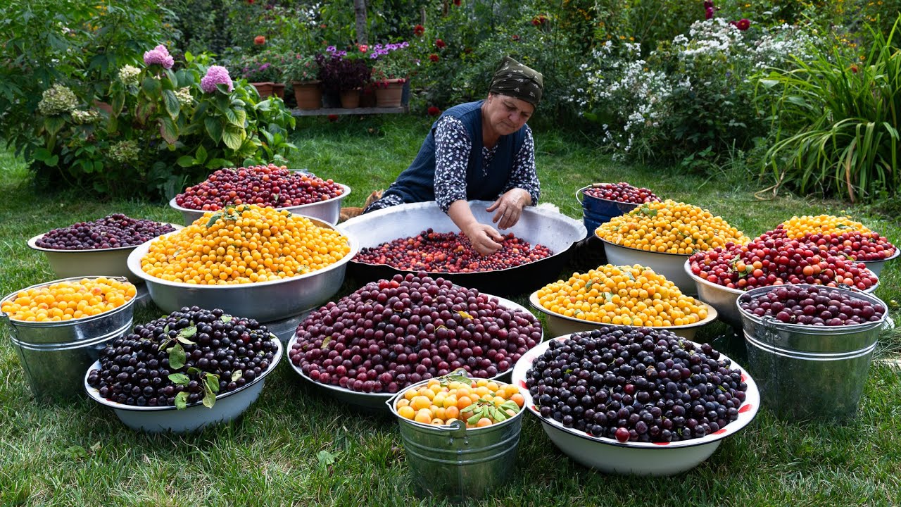 Фруктовые Компоты