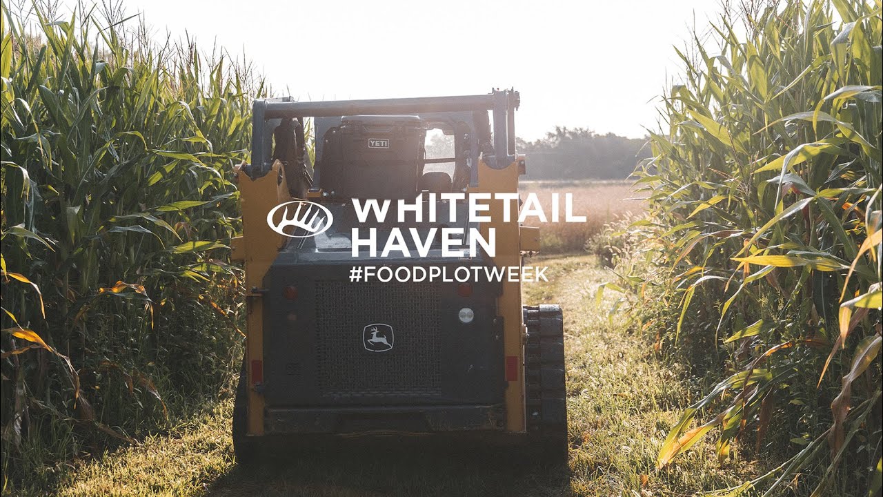 Create A Whitetail Haven | #FoodPlotWeek