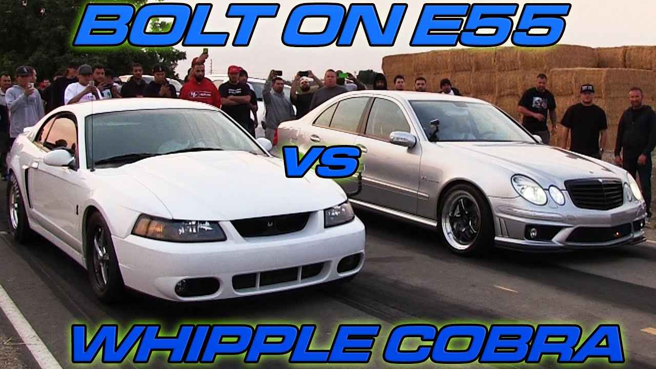 TeamFast E55 vs BAM Whipple Cobra - HeadsUp Muscle Shootout Race 5!