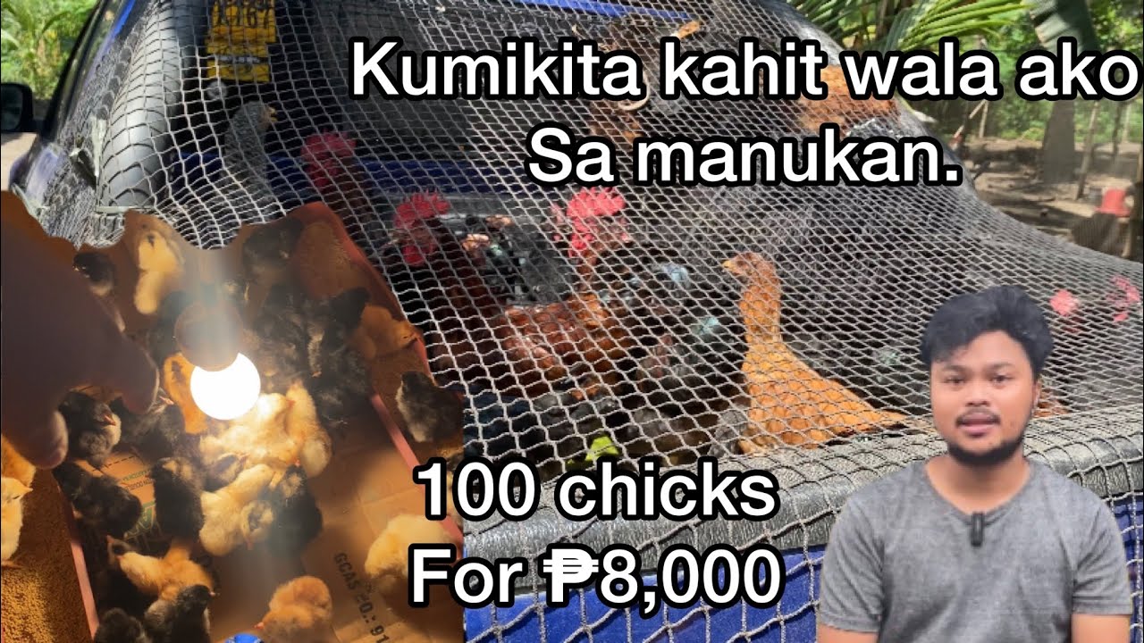 ANG LAKI NG TULONG NG MANUKAN SA MGA GASTUSIN KO.