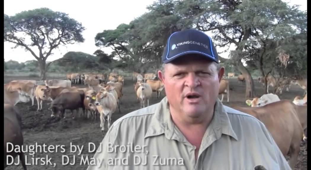 VikingGenetics - Japie Nel, South Africa