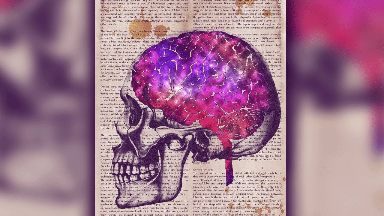 Как перепрограммировать подсознание во время сна 🧠💕
