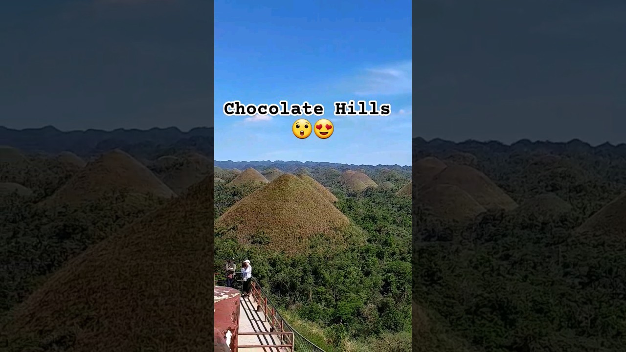 Chocolate Hills in Carmen Bohol. Just WOW! 