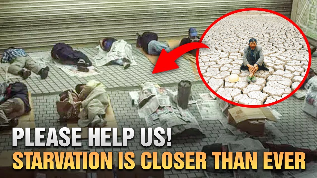 The food crisis and crop failures in China have raised many concerns.