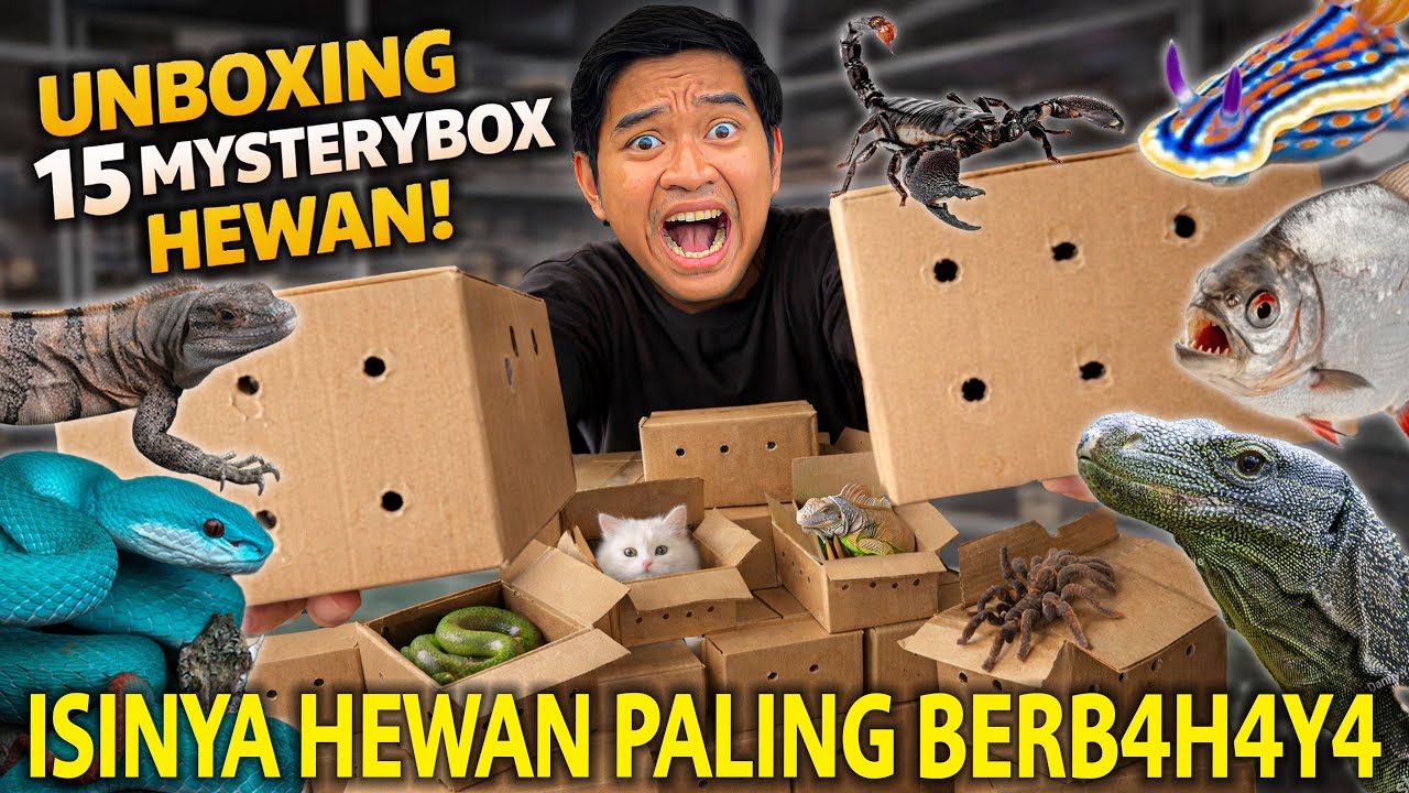 UNBOXING MYSTERY BOX PALING B3RB4H4YA! LENGAH SEDIKIT NY4W4 MELAYANG!