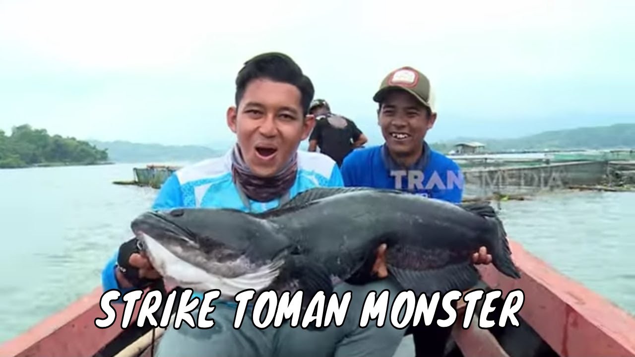 Battle Fishing Toman Monster di Waduk Jatigede | MANCING MANIA STRIKE BACK (15/03/25) Part 1