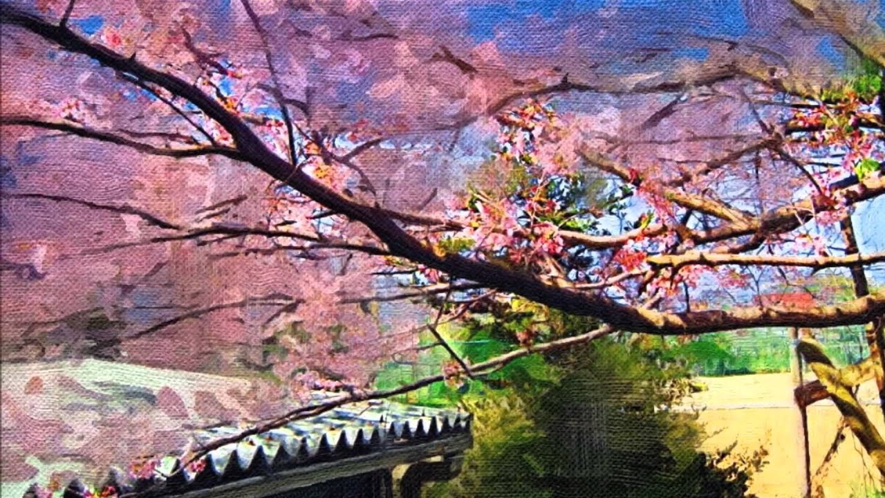 橘中学校入学式