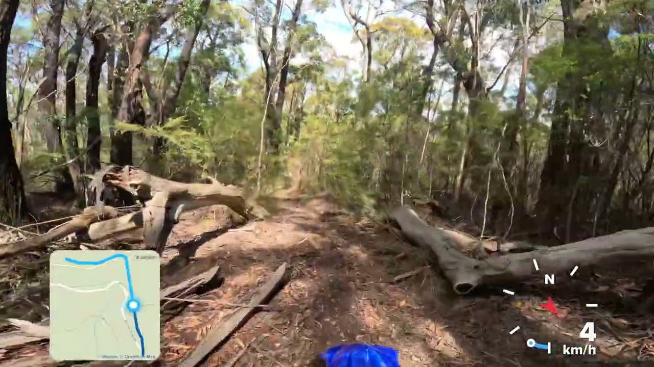 Erica Aussie Dirtbike Tours 2026 03 01   18