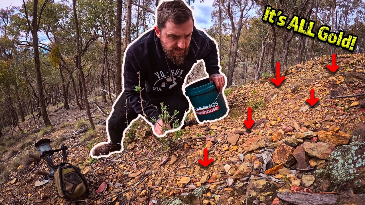 Миллионы брошенного золота лежат на земле?