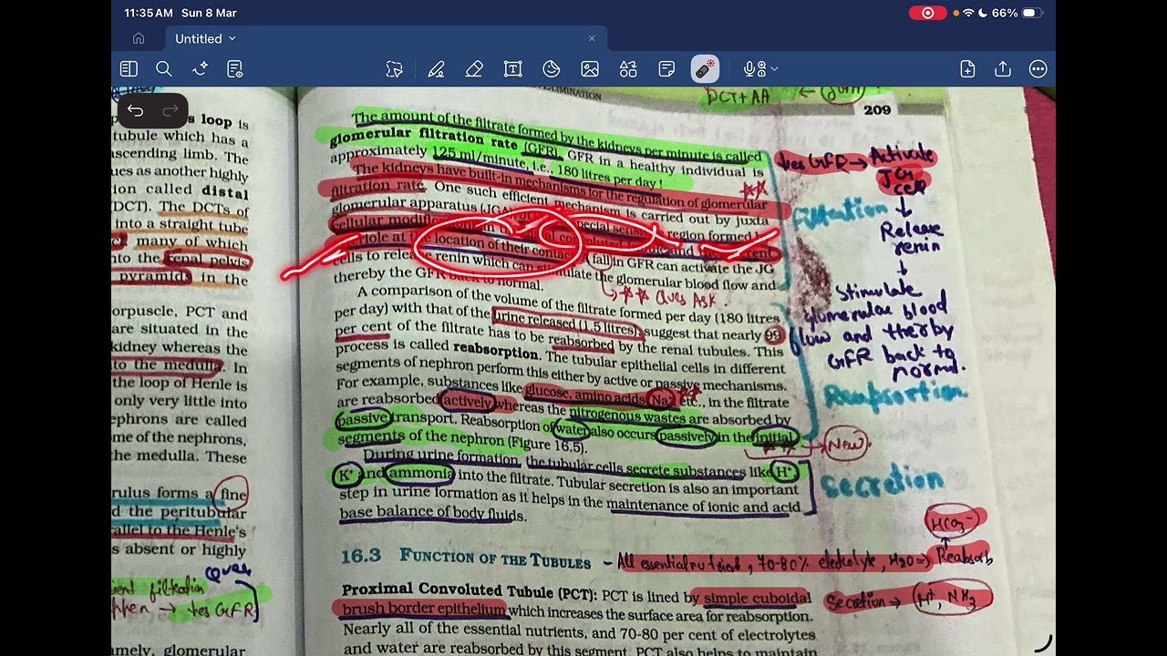 Excretion revision in 23 min