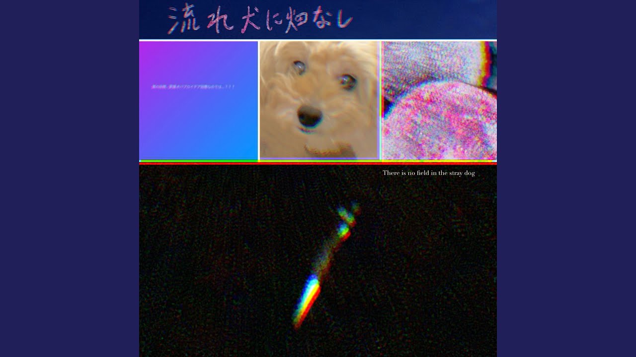 プラスチック・ホース