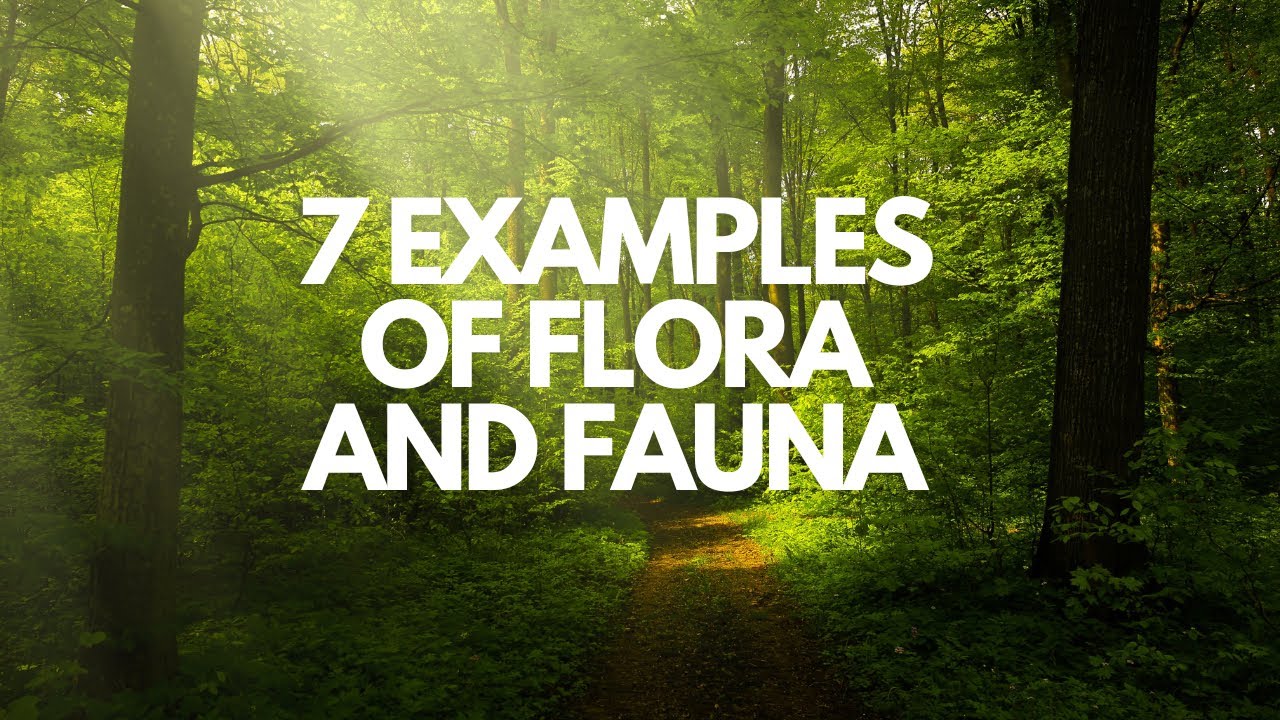 7 examples of flora and fauna