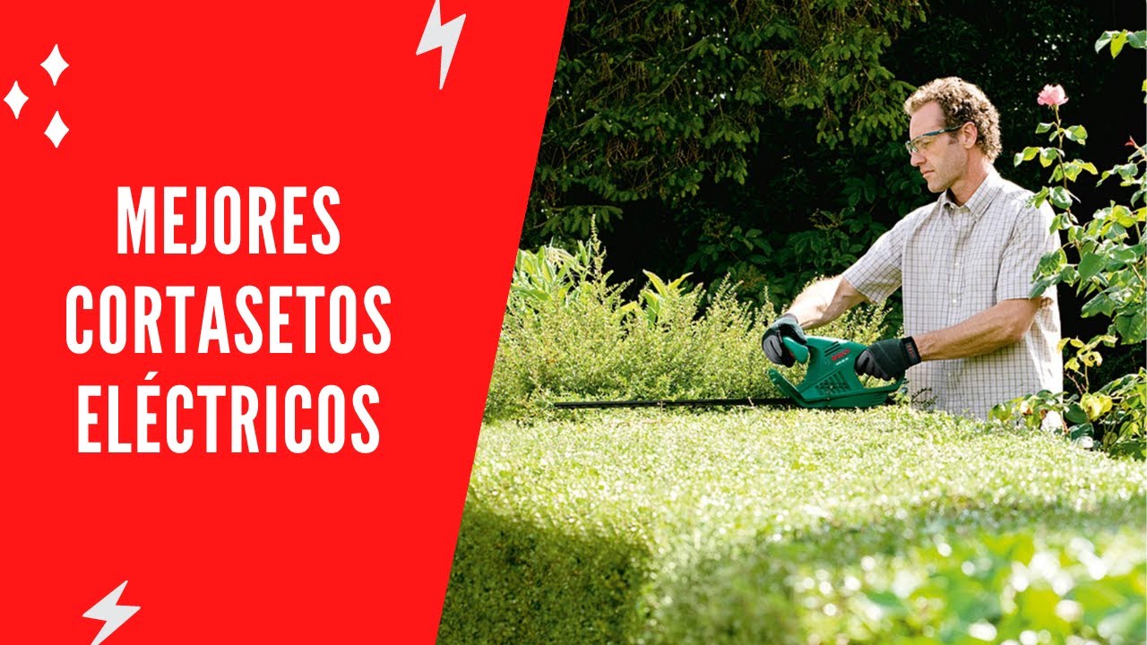✅ Mejores Cortasetos Eléctricos 2022 - (Top 5)