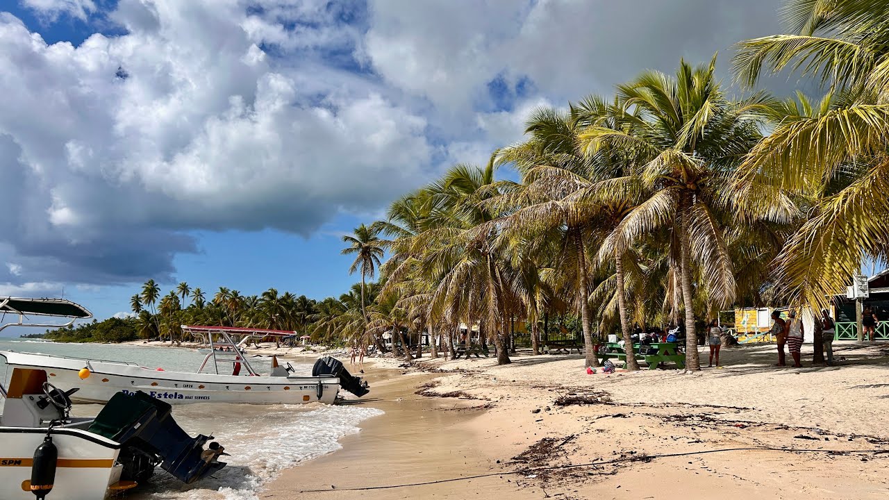 Playa Bachata Resort - Dominikana (kolaż zdjęć i filmów) Grudzień 2025 🇩🇴
