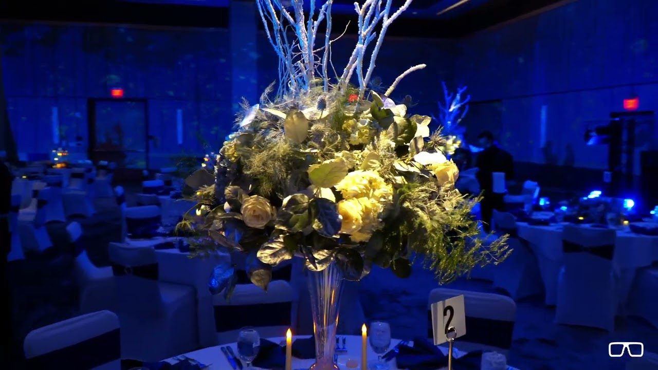 Lighting Design : Projection : SFX : Leonardo Event Group