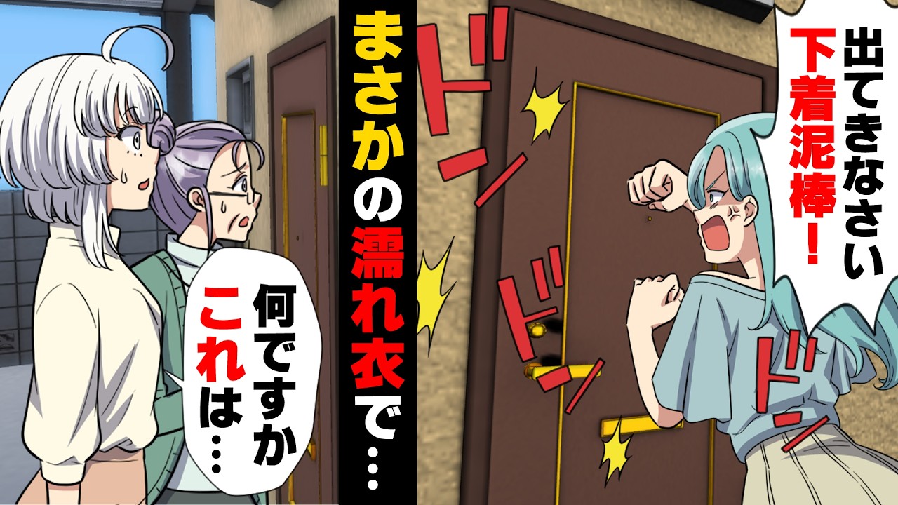 【漫画】引っ越し初日、隣人の女性に突然「下着返して！！」と何故か”下着泥棒”扱いをされ困ってしまった私。ギスギスし始め、そして...→「あんたが犯人だったのね」女性しか住んでないアパートで...