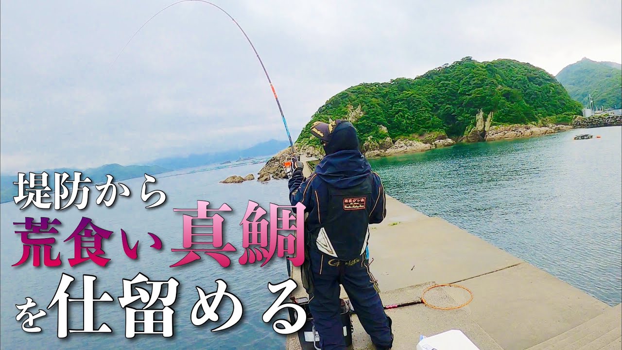 この堤防が凄すぎる！！全遊動&半遊動沈めで真紅の真鯛を仕留める！前編
【フカセ釣り】【島浦】【スーパー堤防】【宮崎】