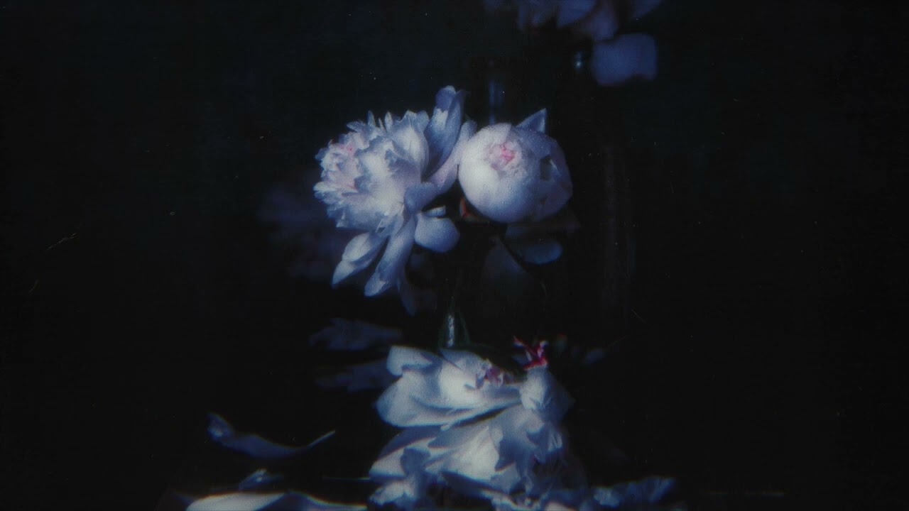 Reed Wonder, Aurora Olivas - Take All My Love