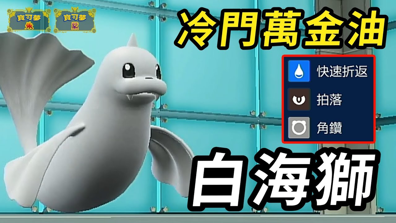 【寶可夢朱紫】超冷門的初代萬金油 全能配招+優秀耐久面對廚獸也不落下風 白海獅 