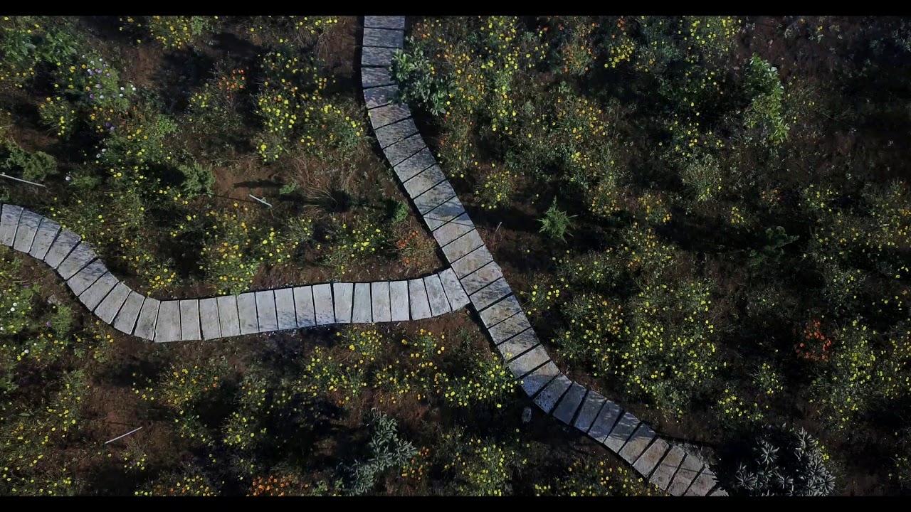Ta Dung - Dak Nong - February 2019 4K video