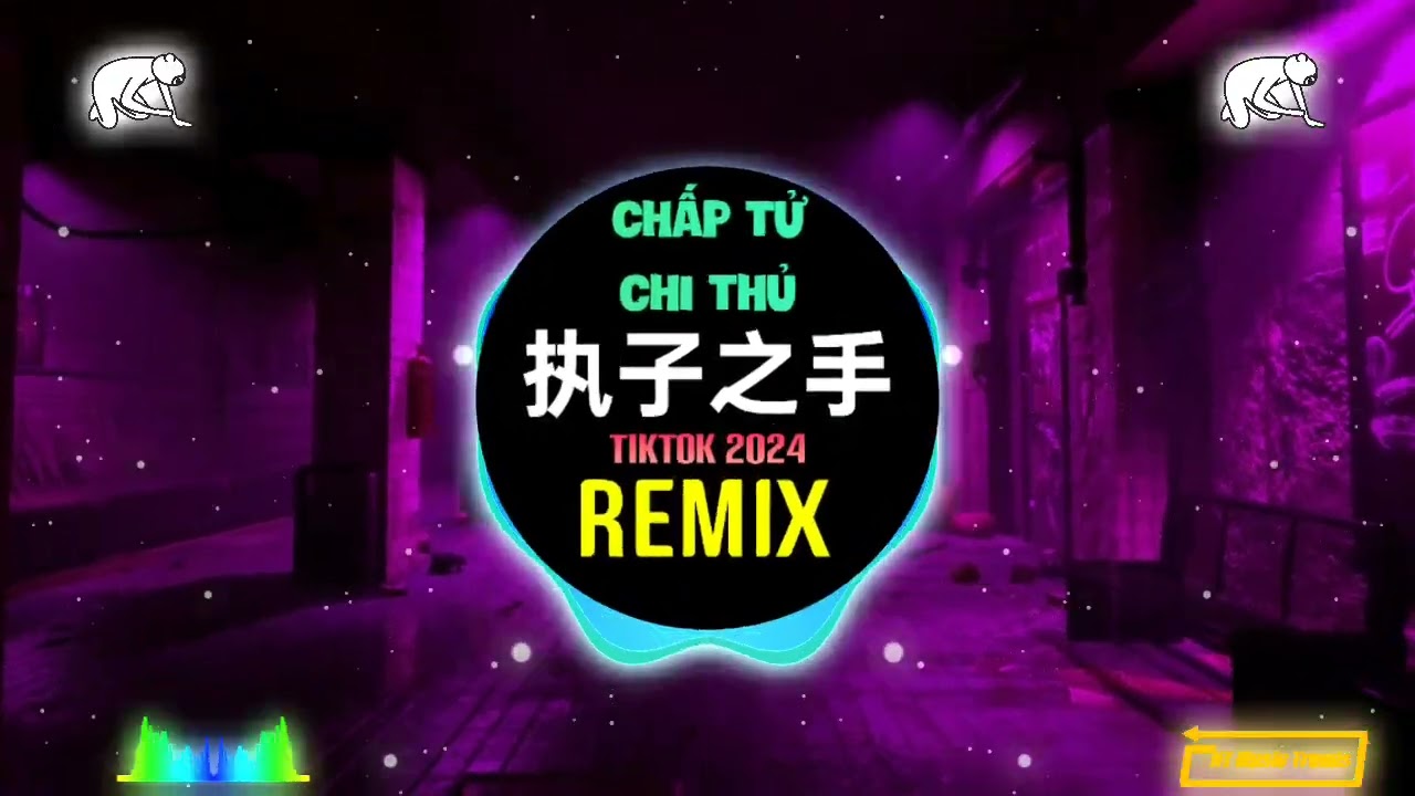 宝石Gem&一哩哩一 - 执子之手(DJ抖音版 2024) Chấp Tử Chi Thủ (Remix Tiktok) - Bảo Thạch Gem/Nhất Li Li Nhất