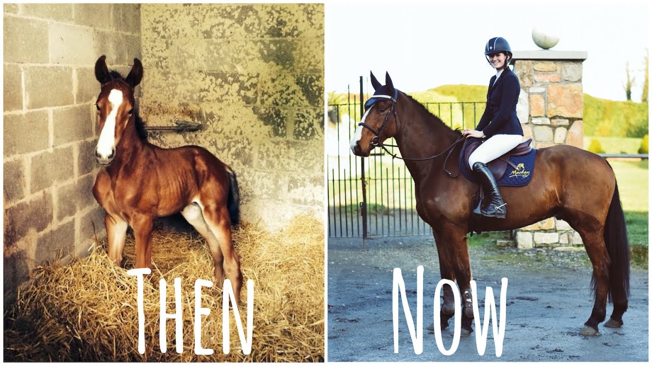 KHAL'S 5 YEAR TRANSFORMATION